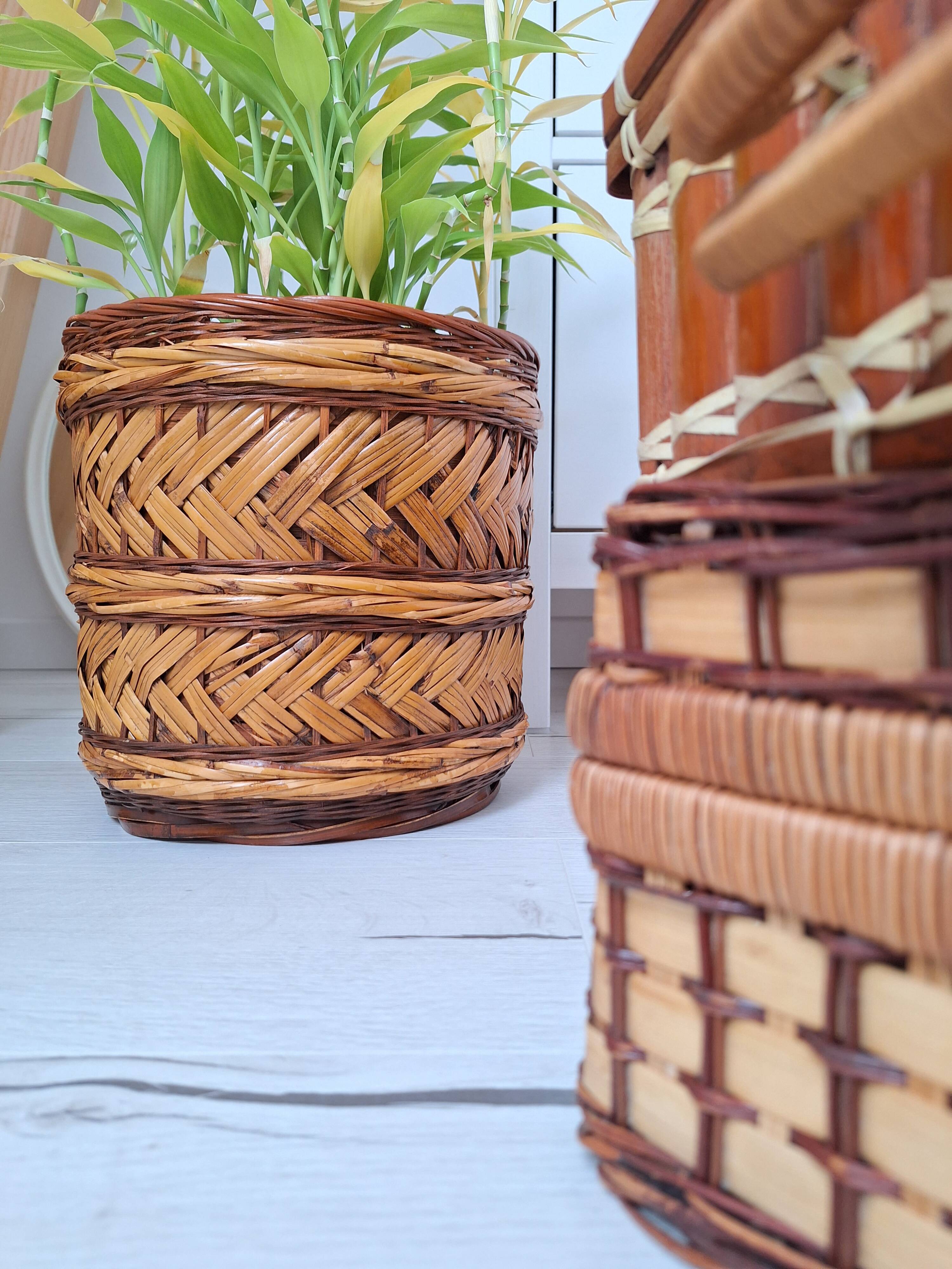 Wicker plant pot