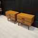 Paire de chevet 1970