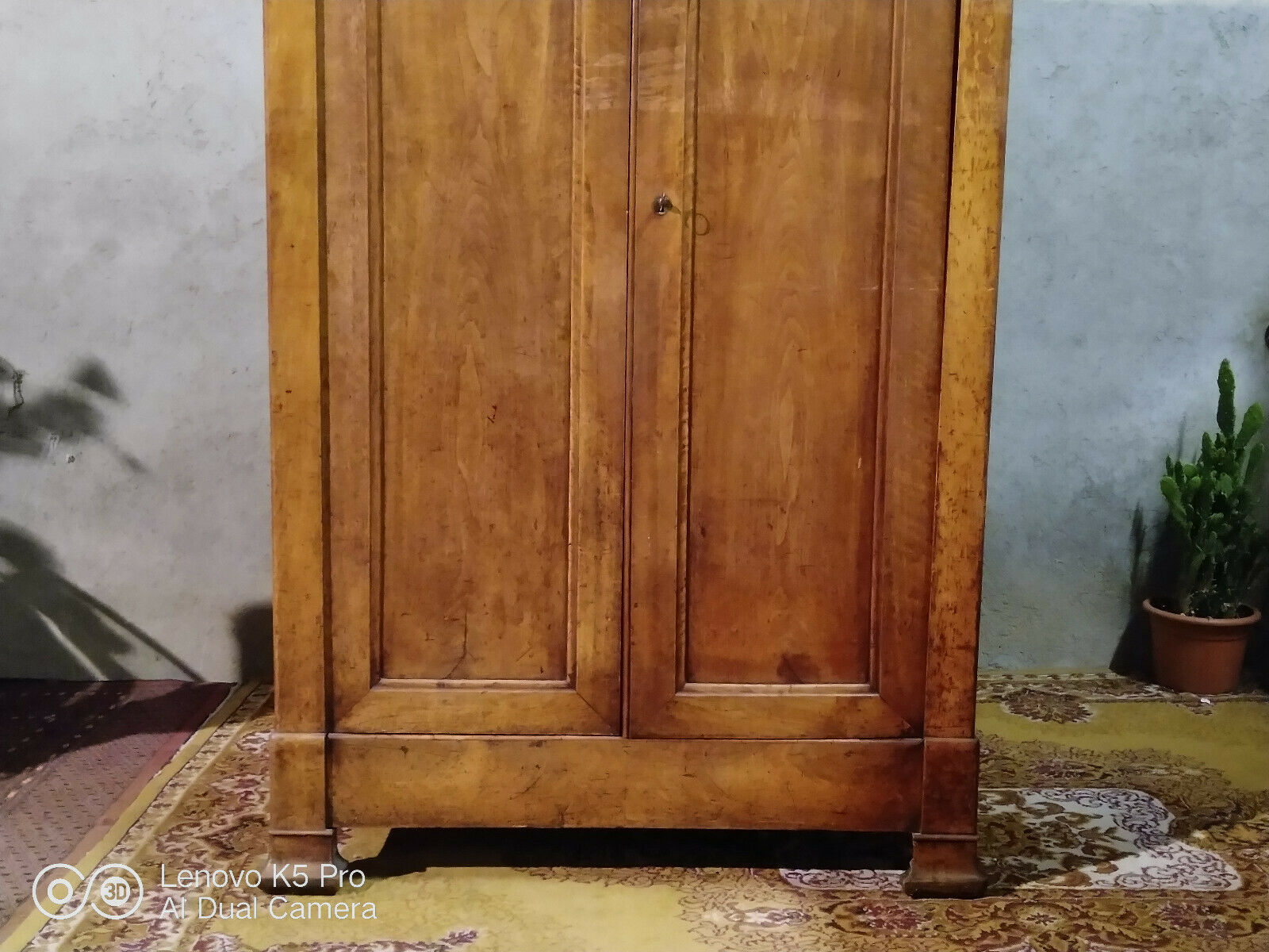 Louis Philippe walnut cabinet 19th-century