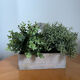 Wooden planter white patina