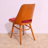Mid Century dining chairs by Radomír Hofman, 1960´s, set of 6