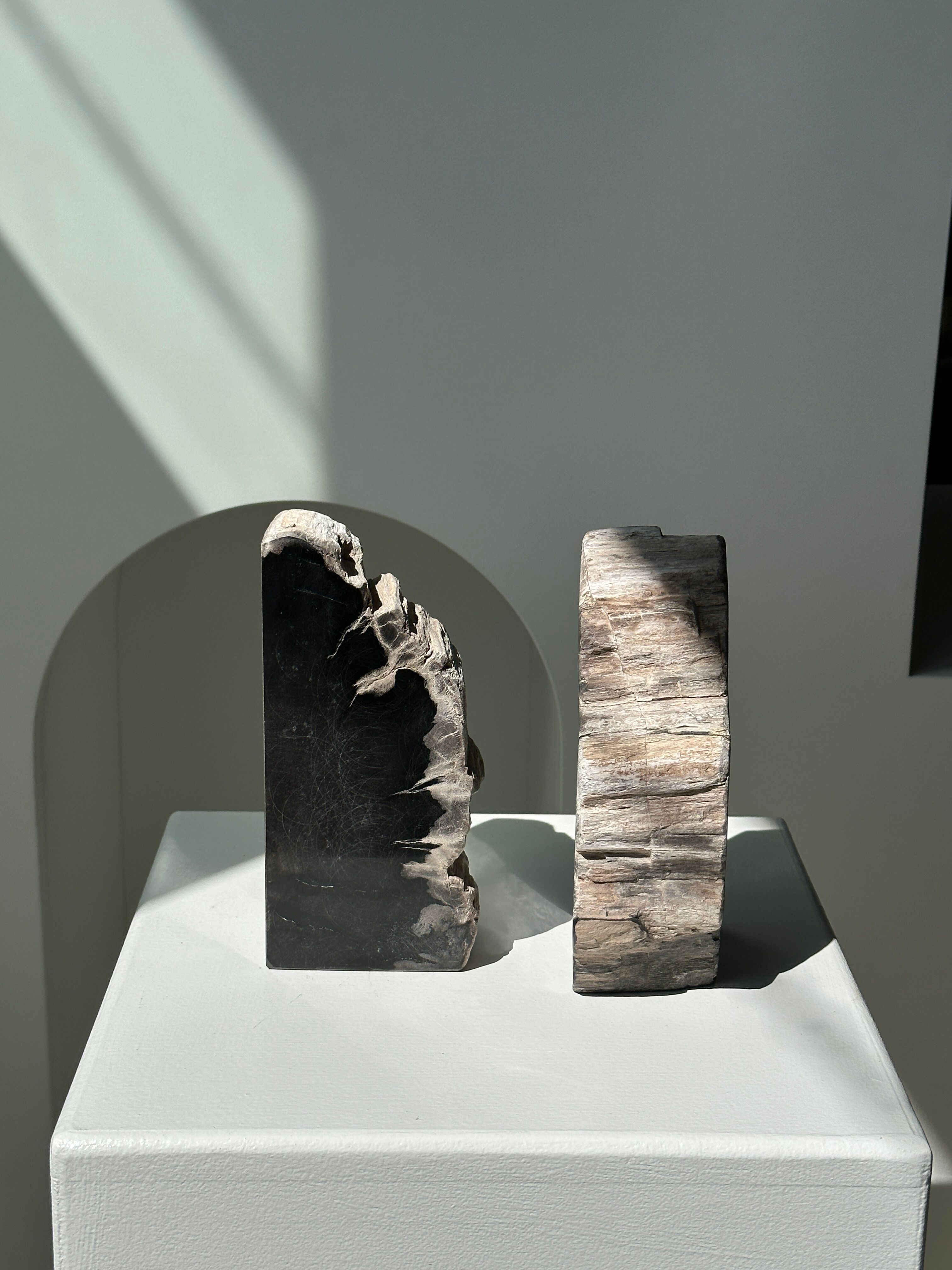 Black petrified wood bookend H17 L17 P6