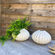 Pair of 2 polylobed round vases