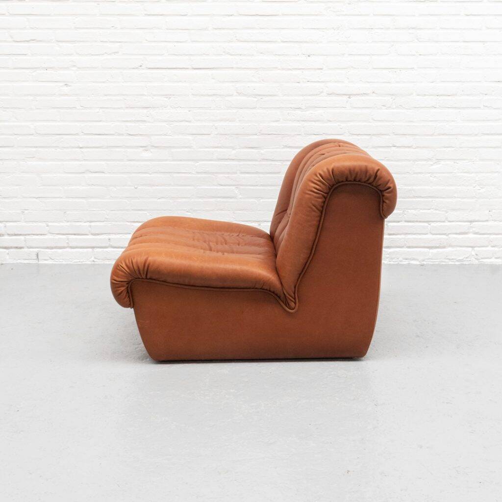 Fauteuil De Sede DS-85
