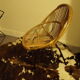 Rattan armchair