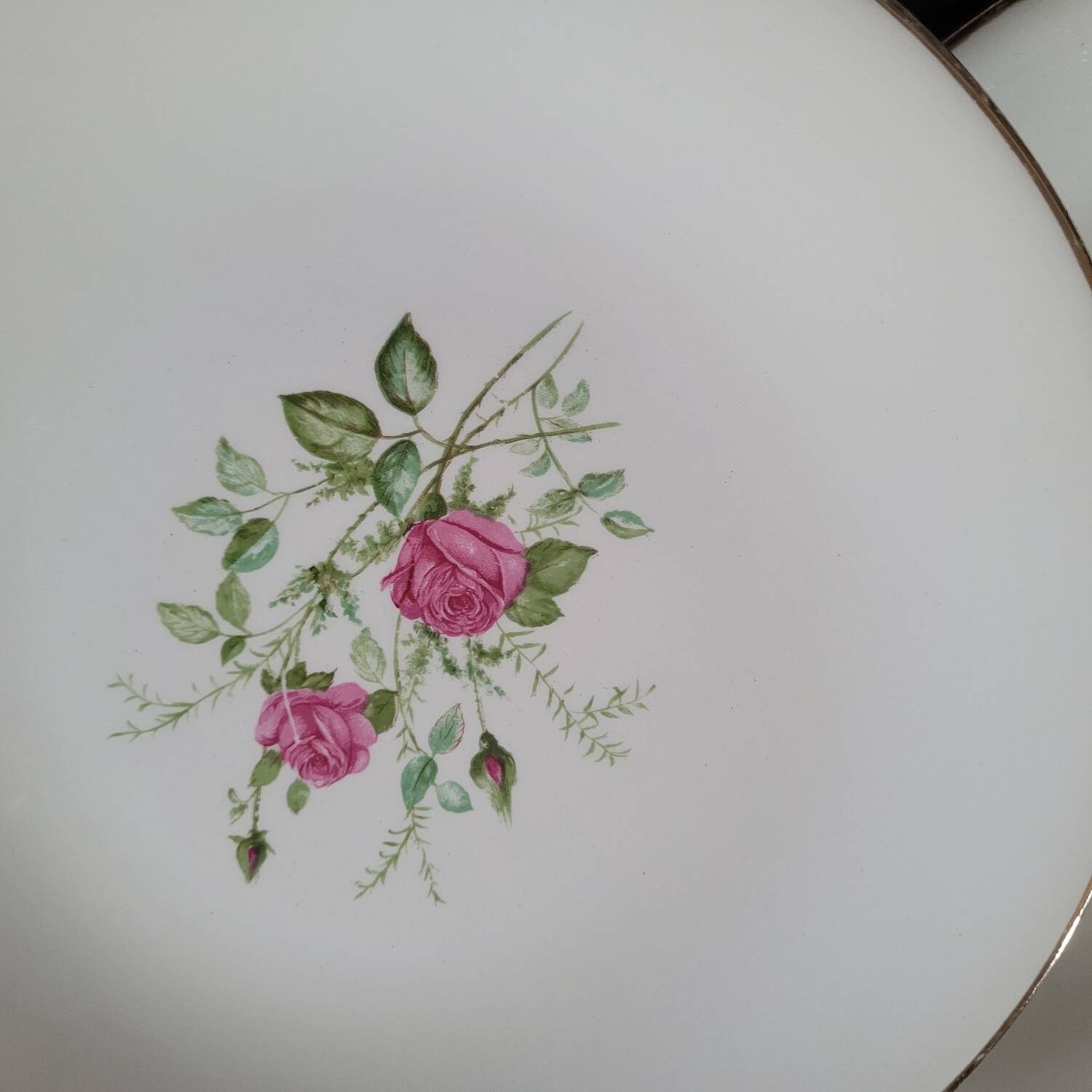 Gien 50s dinner plates
