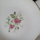 Gien 50s dinner plates