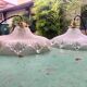 Paire suspensions en verre holophane