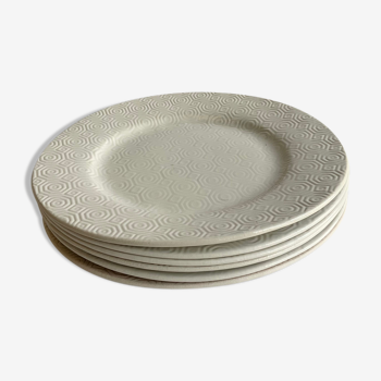Flat Plates Jars Footprint Gum