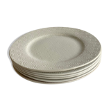 Flat Plates Jars Footprint Gum