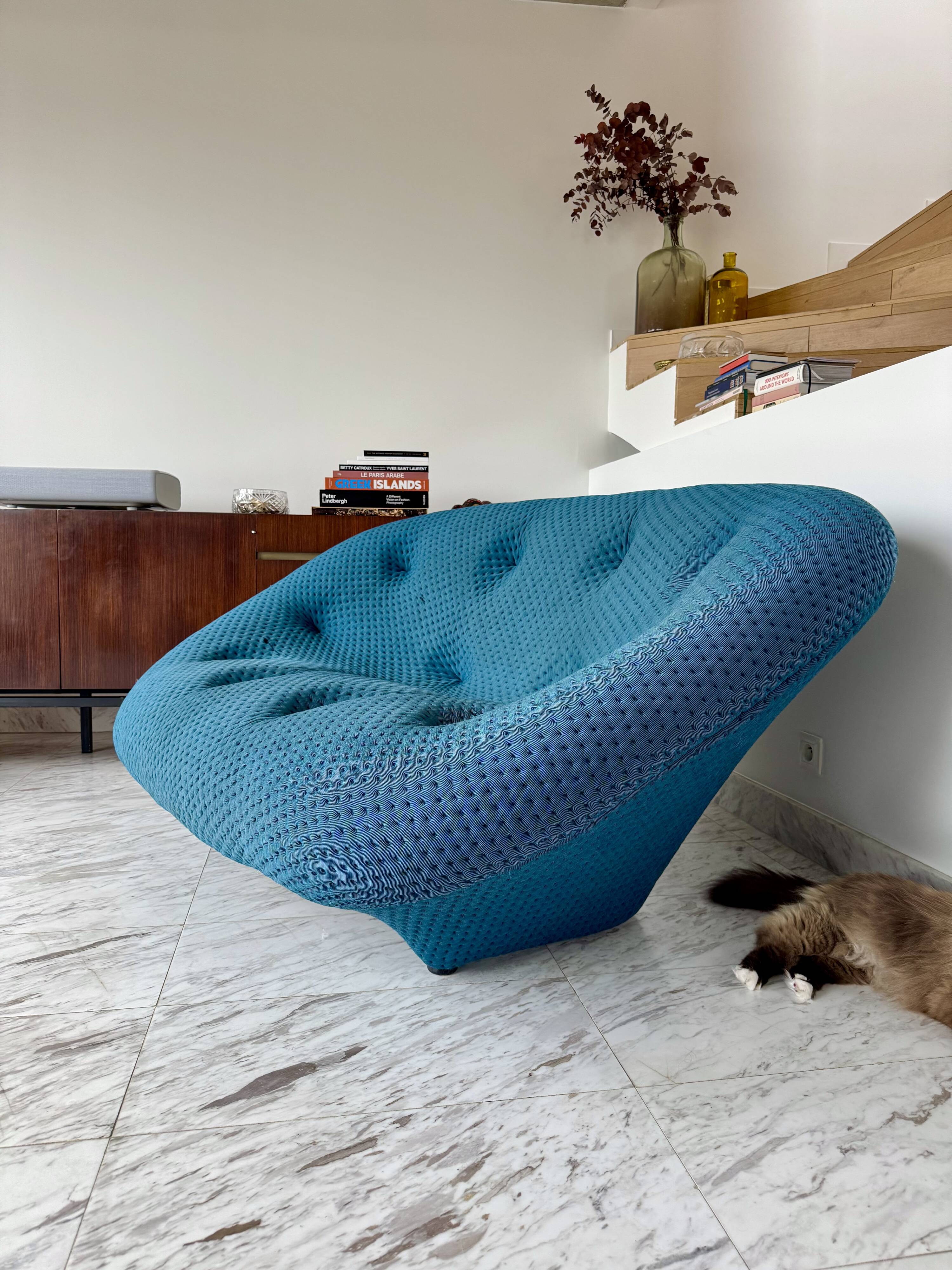Canapé Ploum Ligne Roset 2 places