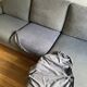 Poltronesofa Poviglio Sofa 2021