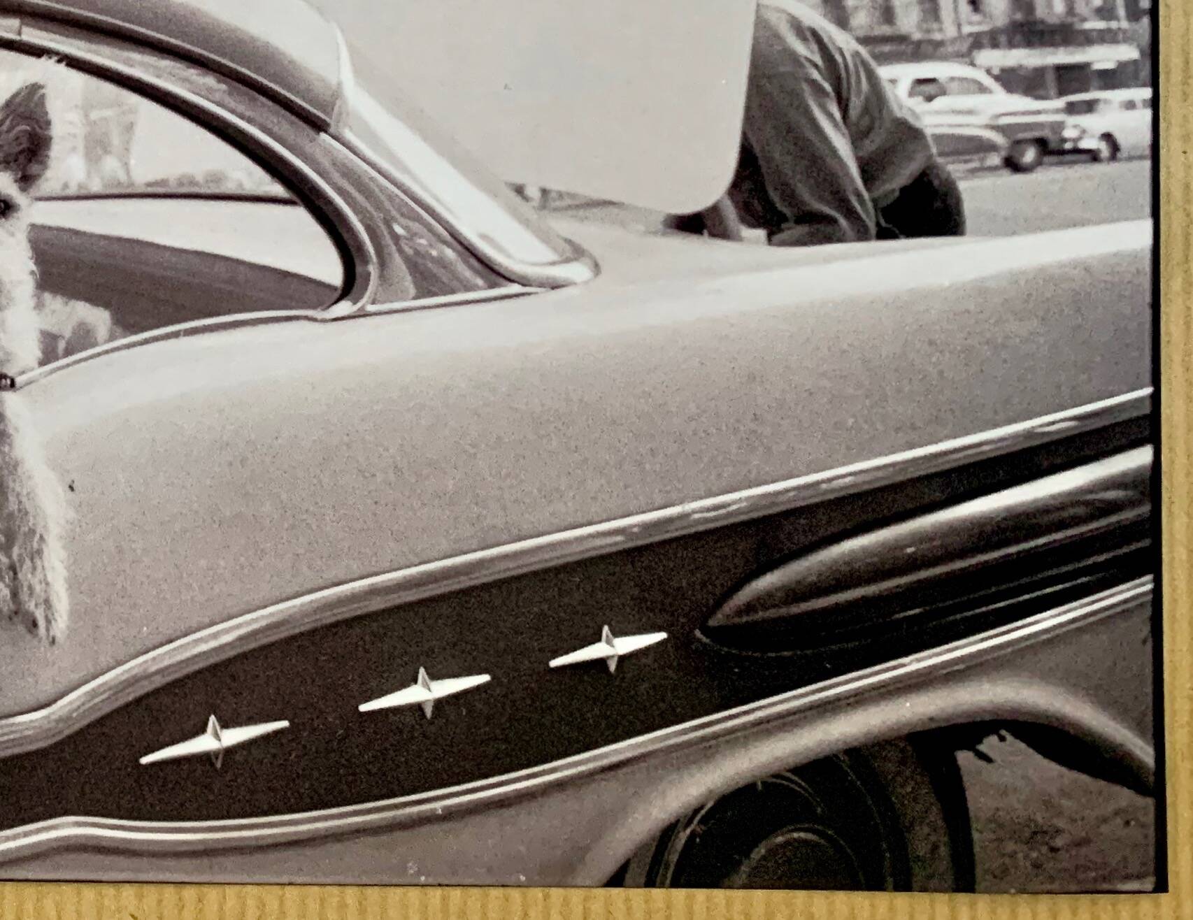 “Dog Leaning Out Car Window” – 1960, New York - Photo by Angelo Rizzuto