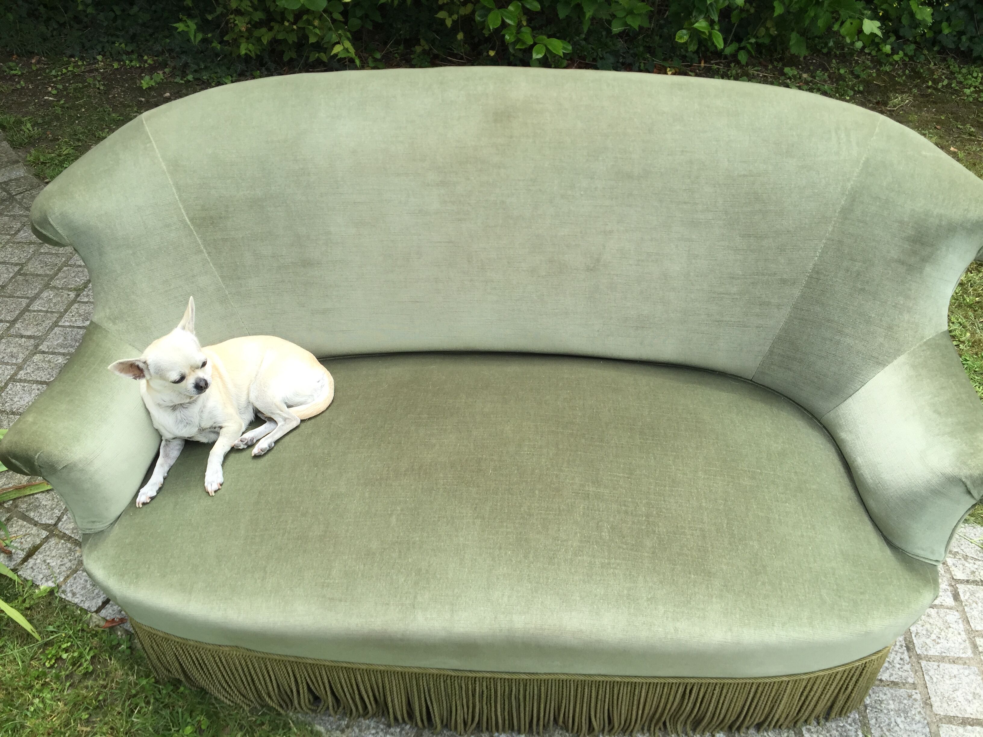 Vintage green velvet toad sofa  1970