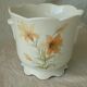 Cache pot in earthenware tiger lily St Michael England