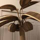 Palm tree
