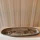 Ceramic dish