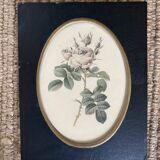 Set of three frames medallions