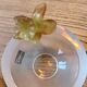 Daum France sculpted crystal bowl – Floral decoration in crystal paste