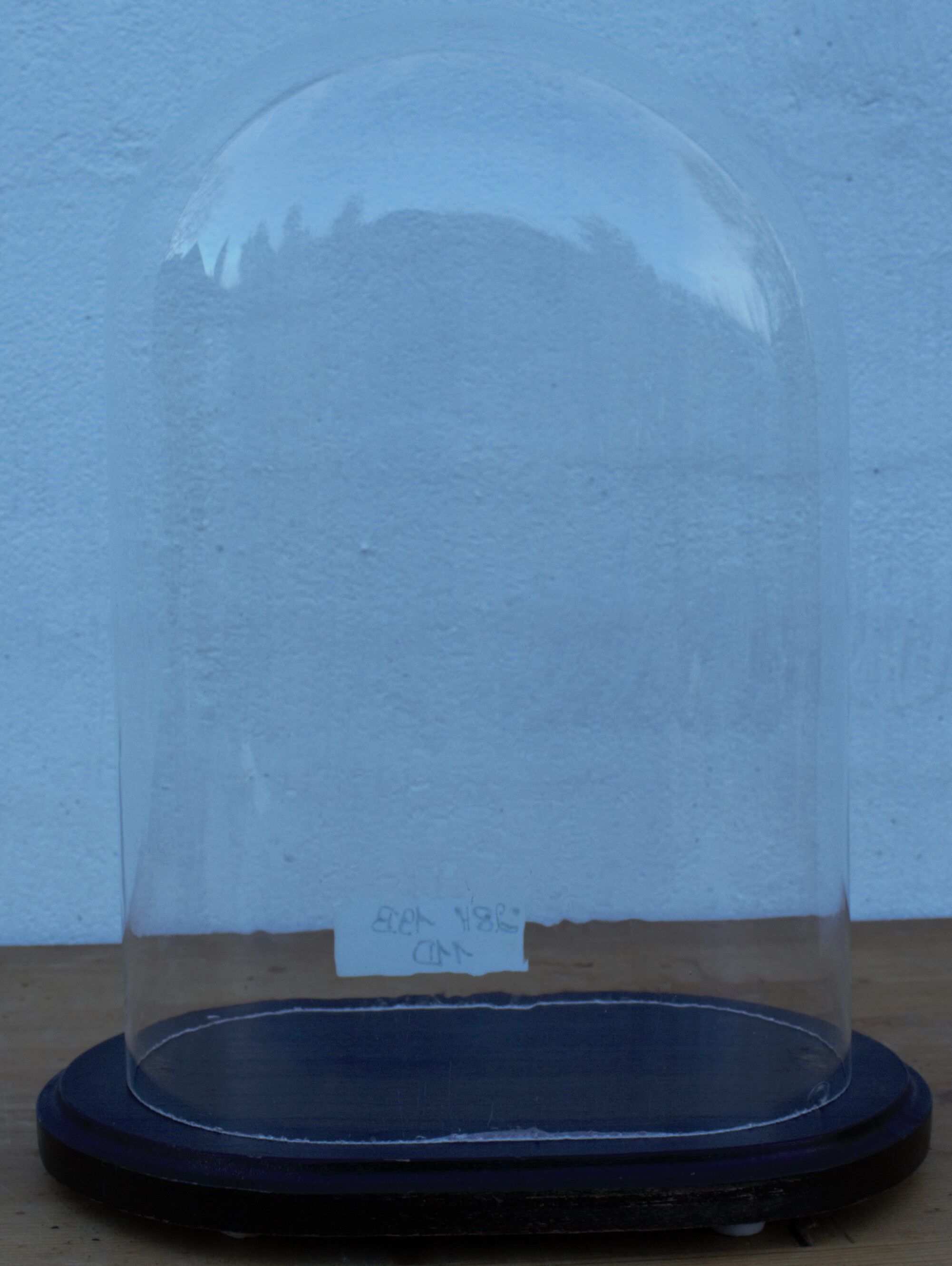 Old oval glass wedding globe 28 cm high glass bell