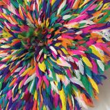 Multicolored Jujuhat 60 cm