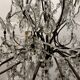 Large Crystal Beaded Chandelier 1950’s