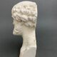 Bust of Socrates in plaster mid-twentieth artist's studio