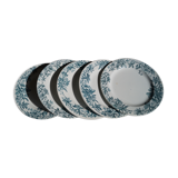 Suite de 5 assiettes Terre de Fer