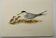 Old ornithology plate 1960 - Little Tern - Illustration beach sea