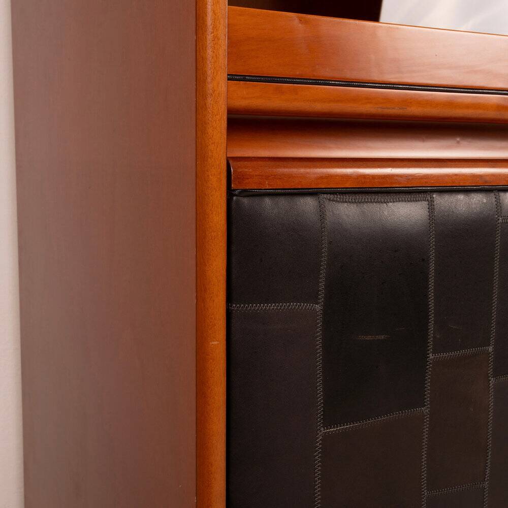 Pecary cabinet by Tito Agnoli for Caleido Frau 1970