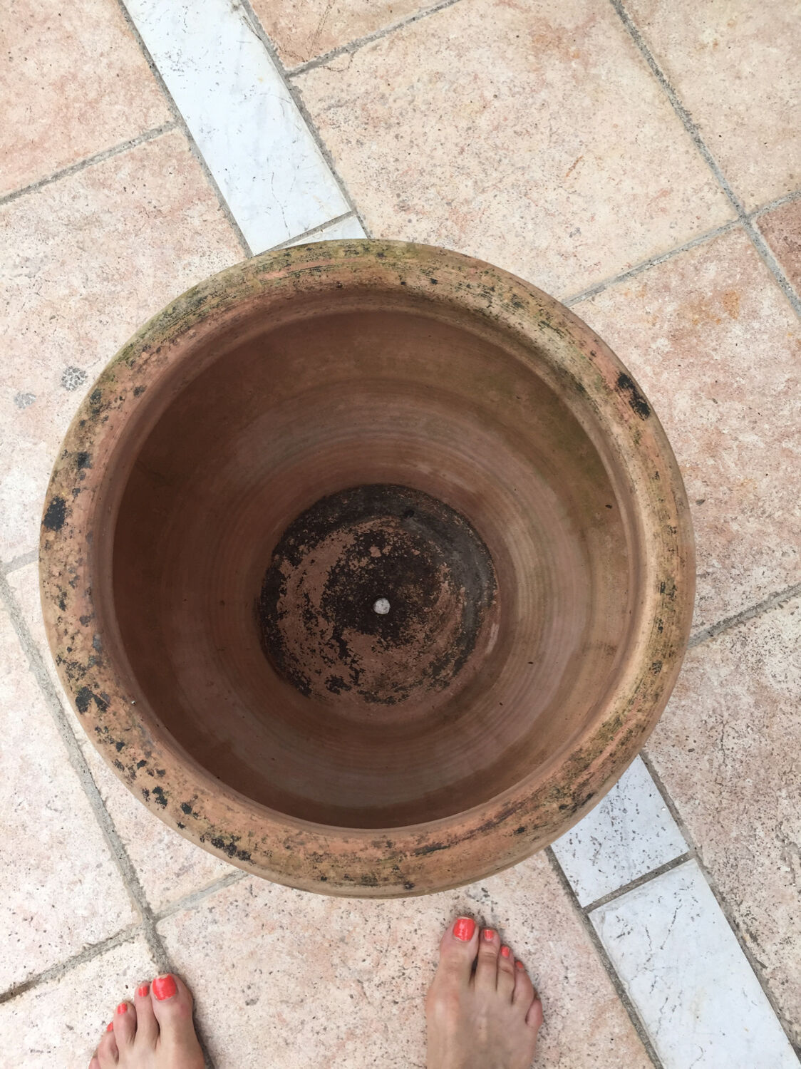 Terracotta pot