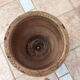 Terracotta pot