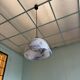 Blue/white glazed ceramic suspension