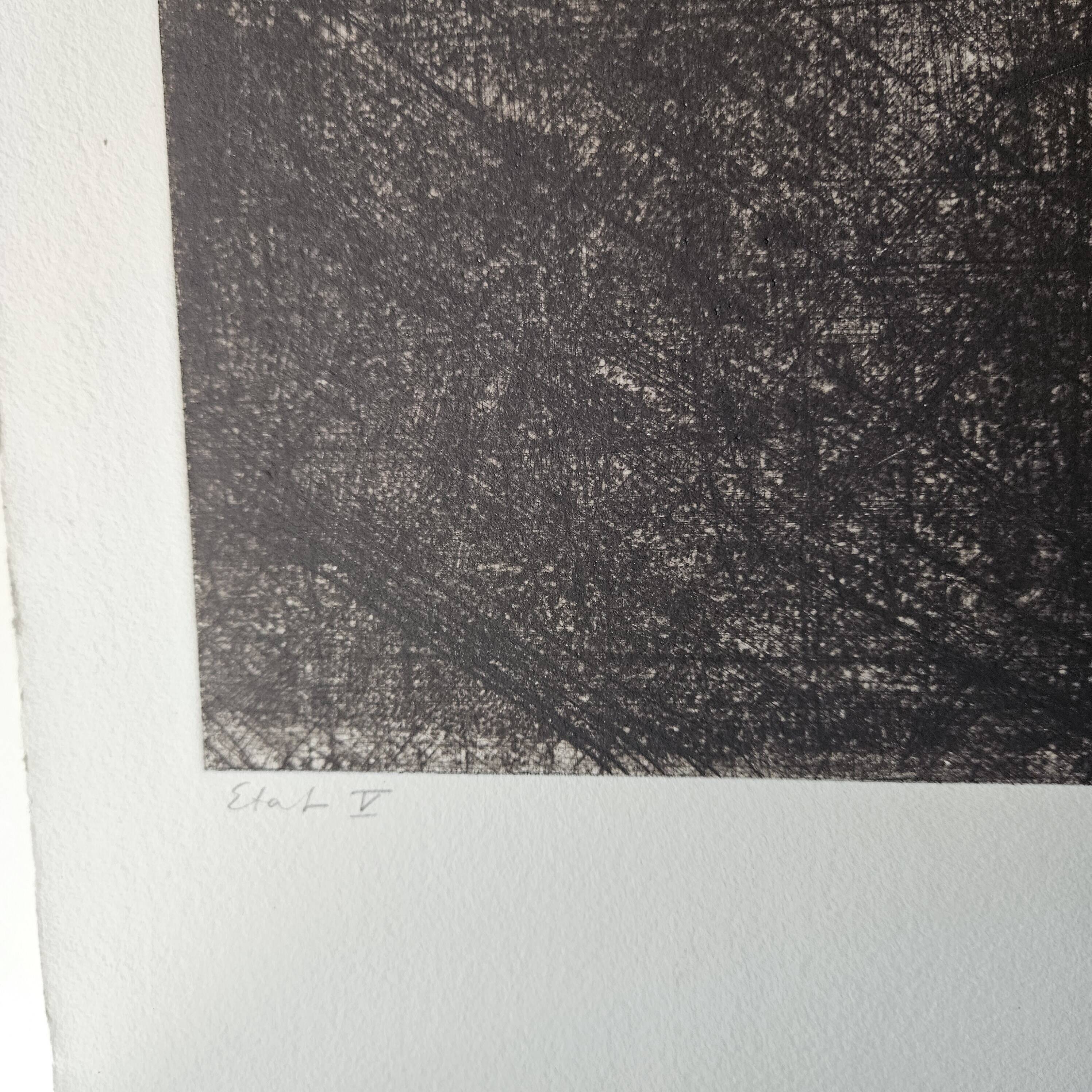 Color Etching  Antonia Dombrowsky 1991-  Color Engraving - handmade Bütten-