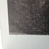 Color Etching  Antonia Dombrowsky 1991-  Color Engraving - handmade Bütten-