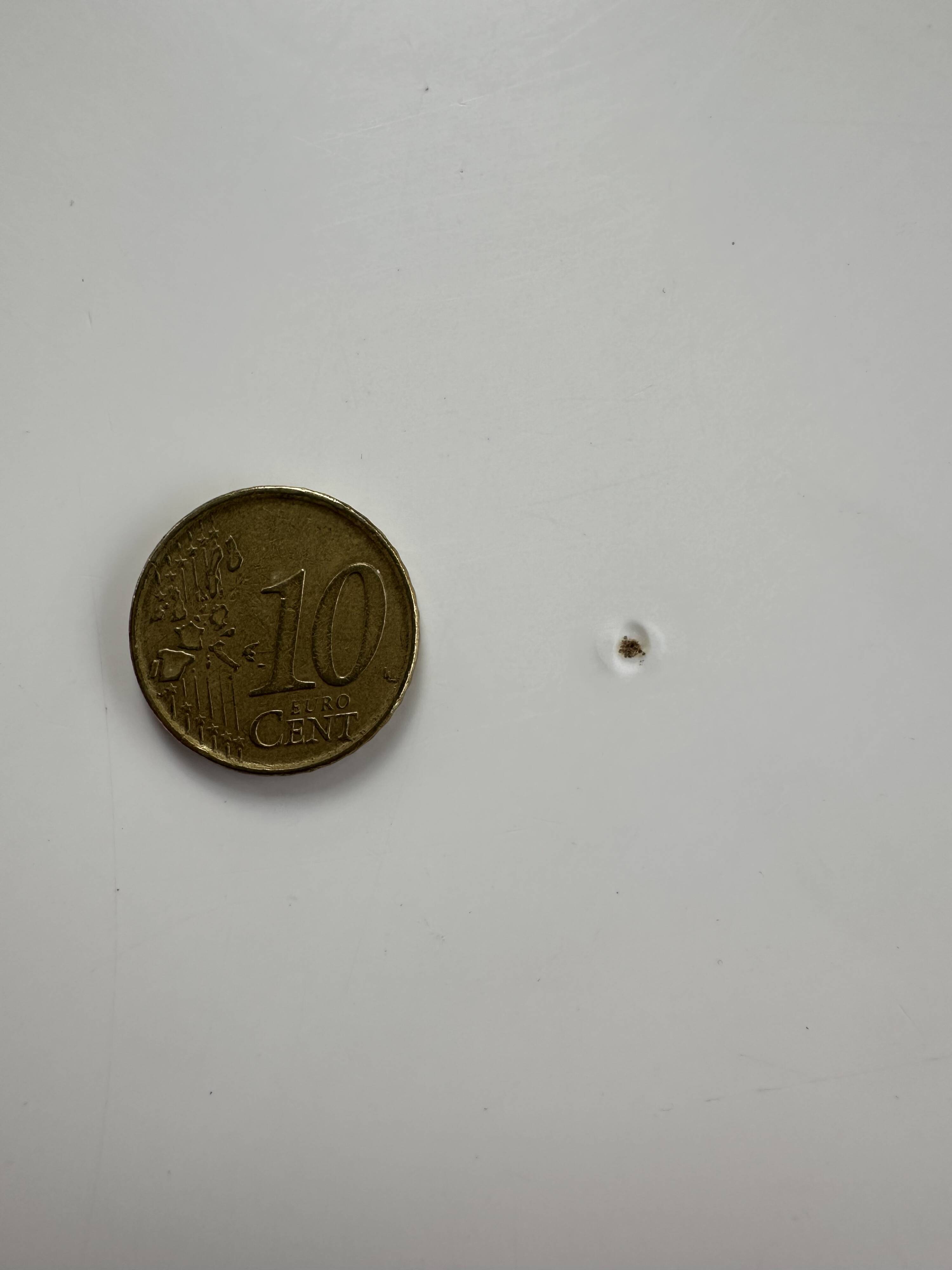 Pucci de Rossi signed coffee table – numbered piece (2004)