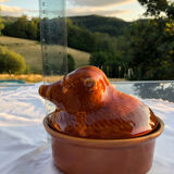 Terrine boar