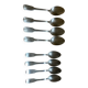 Large spoons Guy Degrenne