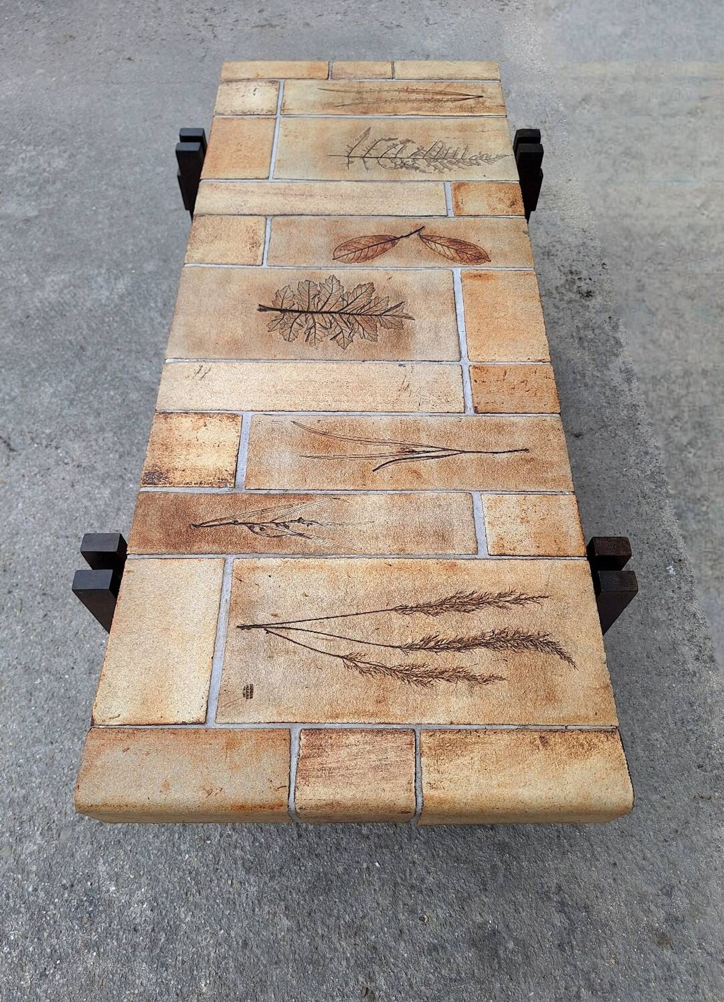 Roger CAPRON table basse  herbier