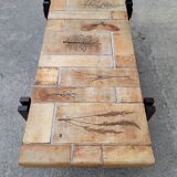 Roger CAPRON herbarium coffee table