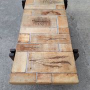 Roger CAPRON table basse  herbier