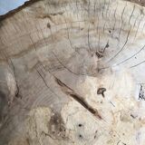 Table tripod tree trunk