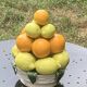 Vintage ceramic barbotine citrus fruit centrepiece
