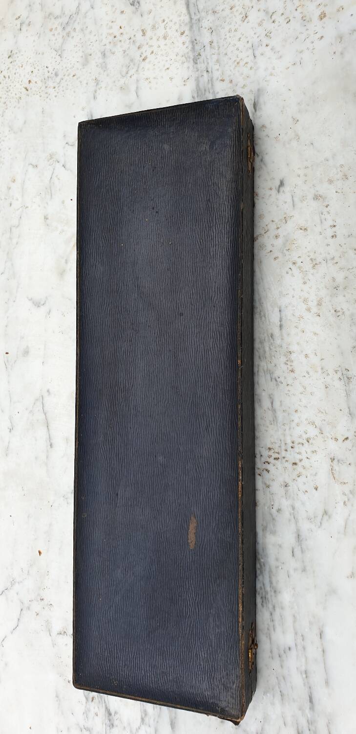 Art Nouveau salad servers in horn and silver metal