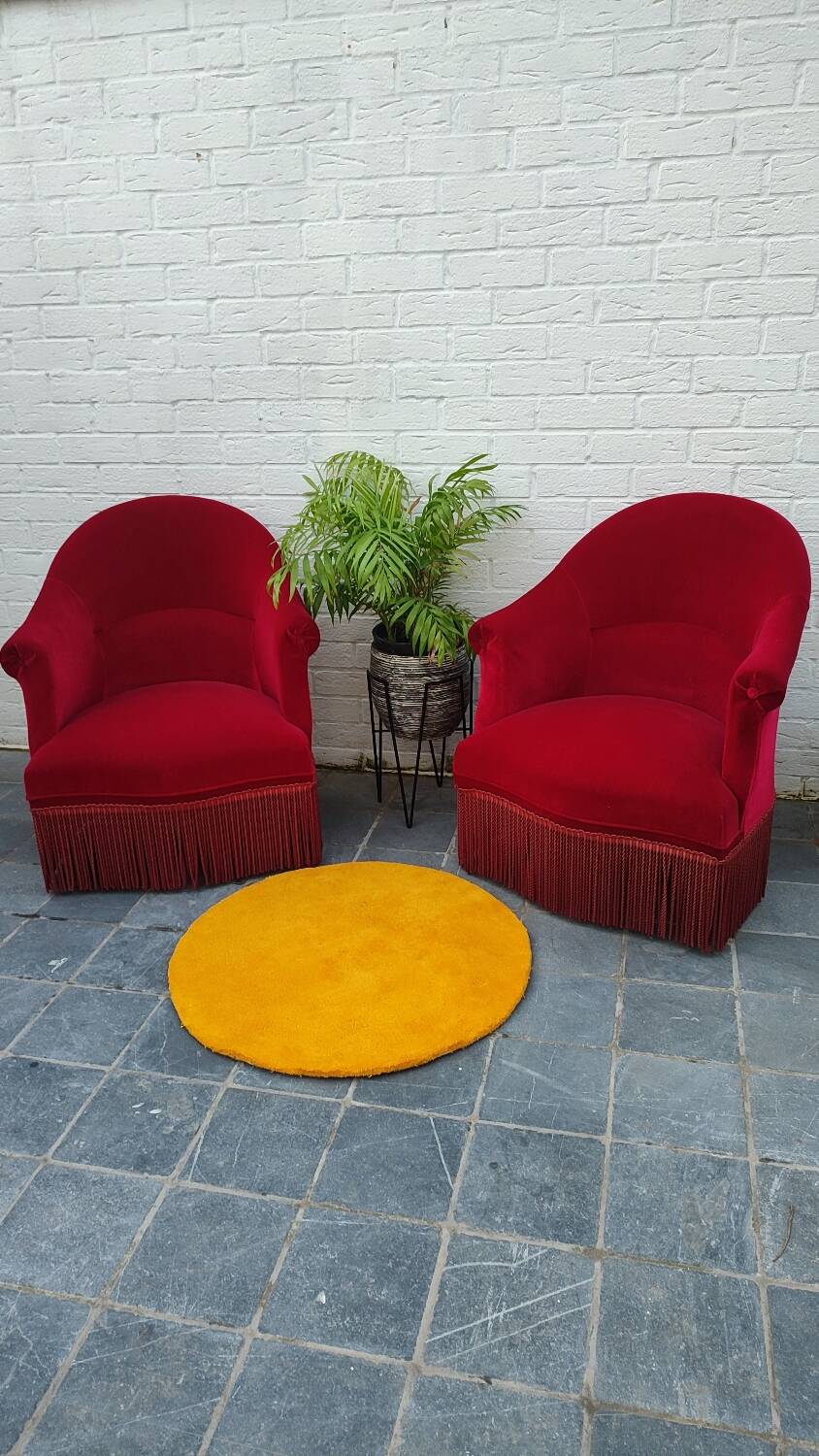 2 velvet toad armchairs