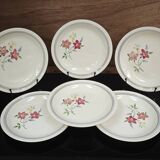 Set of 6 antique shallow bowls from Salin, France "Martine"