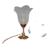 Bronze table lamp and opalescent petal globe