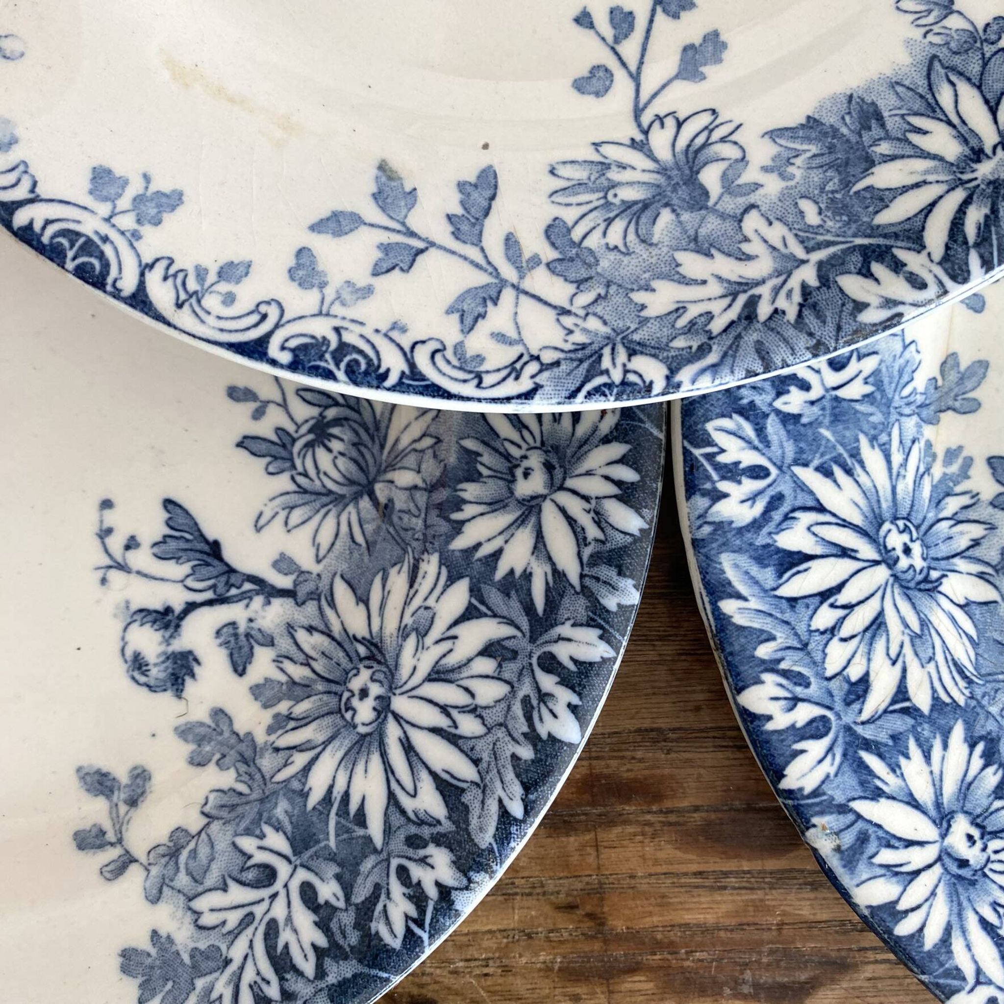 6 assiettes plates en terre de fer Gien "fleur d'automne"