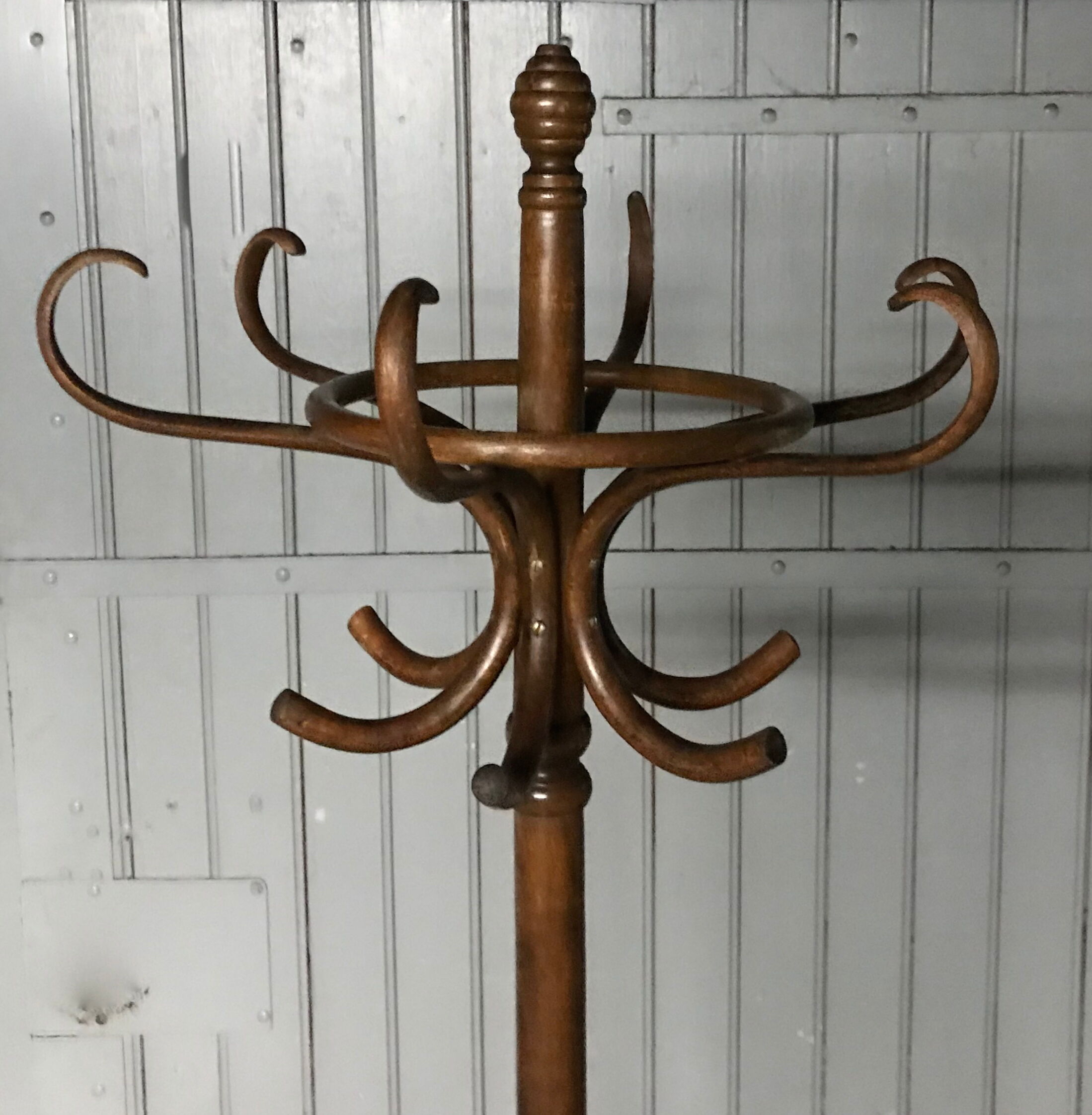 Thonet parrot coat holder, curved wood 1930 - 40,