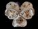 Old ceramic flower girl wall vase
